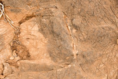 Grafik desen taş görünümü