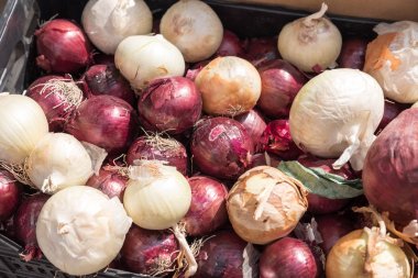 Beyaz ve kırmızı soğan
