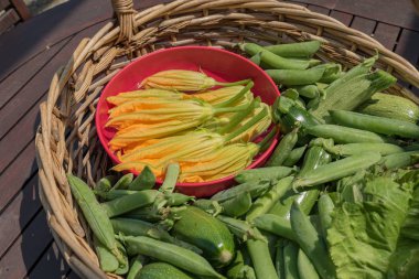 Mevsim sebzeleri ile sepeti