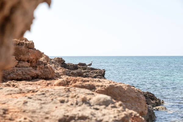 Vista maravilhosa da Sicília (San Vito lo Capo ) — Fotografia de Stock