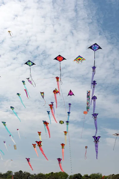 Cerfs-volants avec ciel bleu et nuages blancs Image En Vente