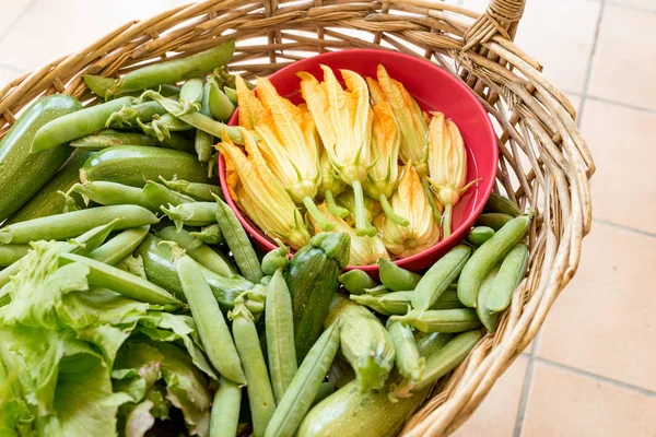 Panier avec légumes de saison — Photo