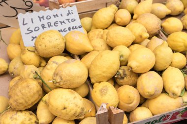 Limoni di Sorrento Napoli İtalya
