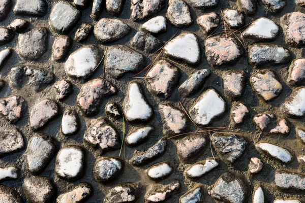 Texture of river stones