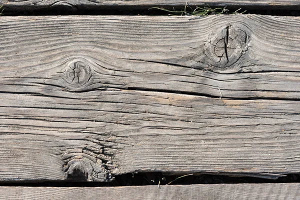 Nudos de madera de cerca — Foto de Stock