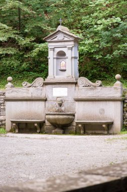 Ormanda taş çeşme