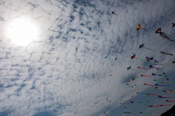 Pipas com céu azul e nuvens brancas — Fotografia de Stock