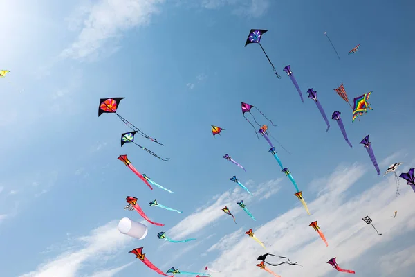 Pipas com céu azul e nuvens brancas — Fotografia de Stock