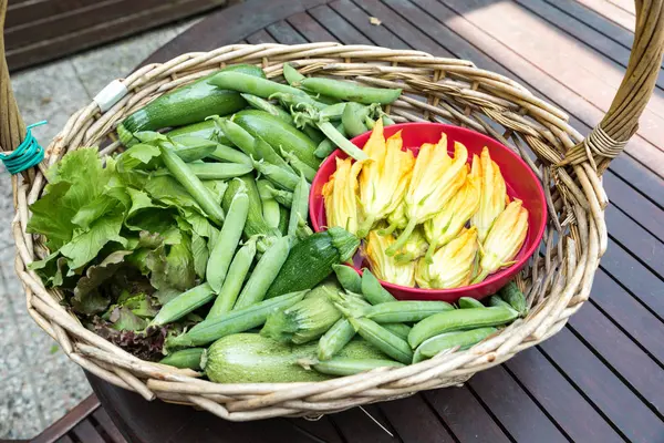 Panier avec légumes de saison — Photo