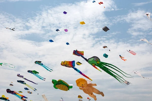 Kites with blue sky and white clouds — Stock Photo, Image