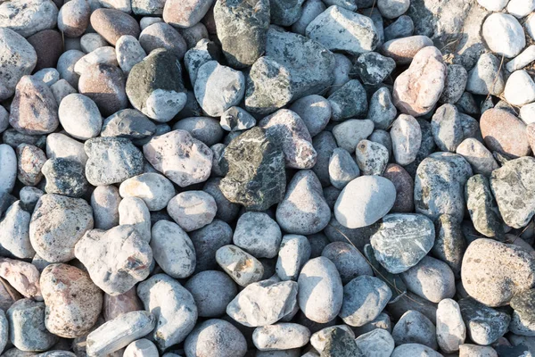 Texture of river stones — Stock Photo, Image