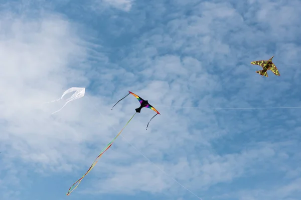 Cerfs-volants avec ciel bleu et nuages blancs — Photo