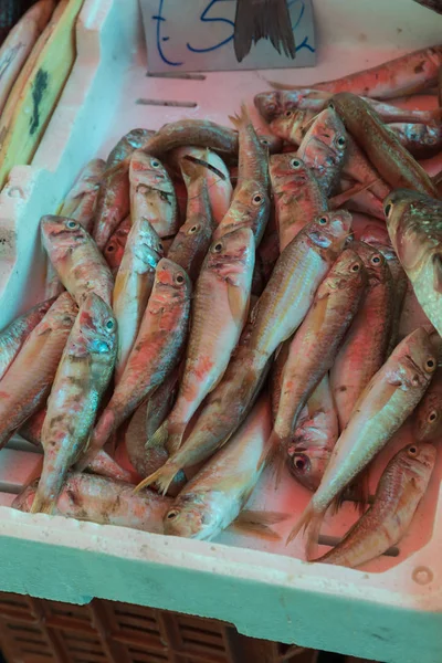 Pescado en el mercado de Catania — Foto de Stock