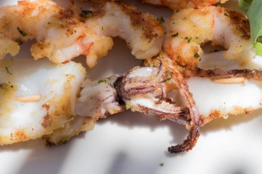 Squid şiş yakın yukarı