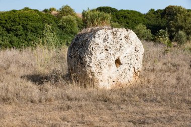 Sicilyalı şarap üreticileri