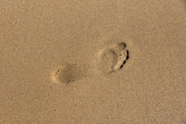 海の海岸の足跡 — ストック写真