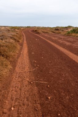 Kırmızı toprak yolda lastik izleri var.