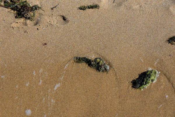 Fotavtryck Stranden Havet — Stockfoto