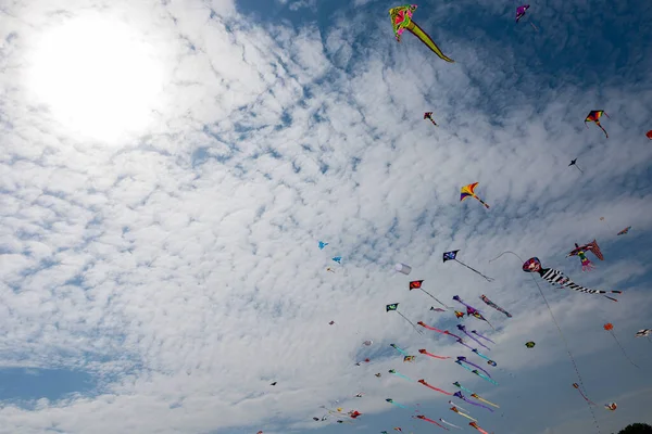 Pipas Com Céu Azul Nuvens Brancas — Fotografia de Stock