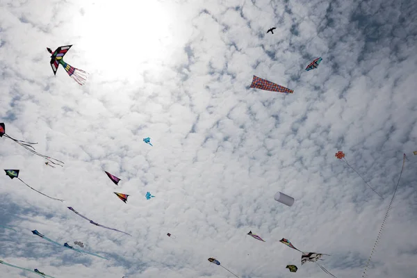 Pipas Com Céu Azul Nuvens Brancas — Fotografia de Stock