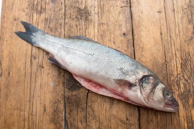 Beyaz arkaplan ile deniz levreği