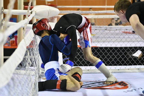 Orenburg Rusia Febrero 2017 Año Los Combatientes Compiten Artes Marciales — Foto de Stock