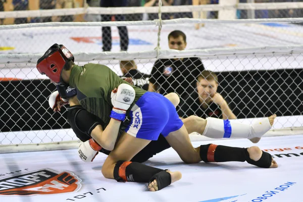 Orenburg Rusia Febrero 2017 Año Los Combatientes Compiten Artes Marciales — Foto de Stock