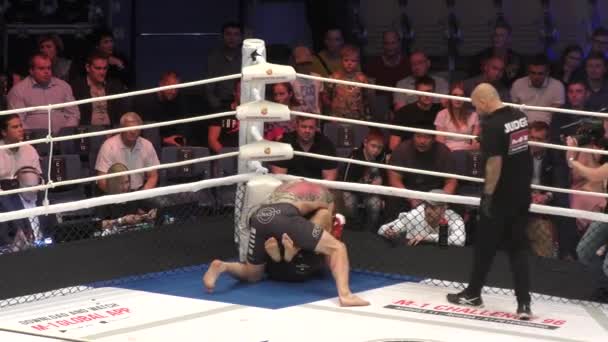 Orenburg Rússia Junho 2018 Ano Lutadores Competem Artes Marciais Mistas — Vídeo de Stock