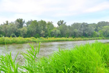 Nehri üzerinde sabah bulutlu hava yaz