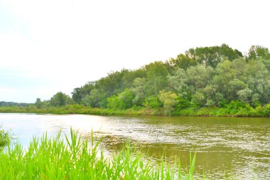 Nehri üzerinde sabah bulutlu hava yaz