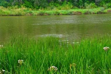 Nehri üzerinde sabah bulutlu hava yaz