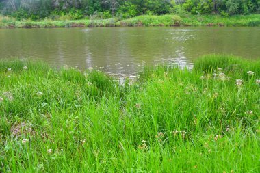 Nehri üzerinde sabah bulutlu hava yaz