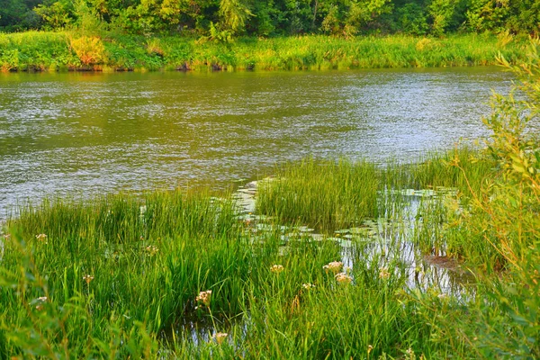 Mattina Sul Fiume Estate Con Tempo Nuvoloso — Foto Stock