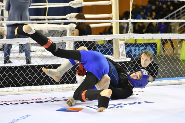 Orenburg Rusia Febrero 2017 Año Los Combatientes Compiten Artes Marciales —  Fotos de Stock