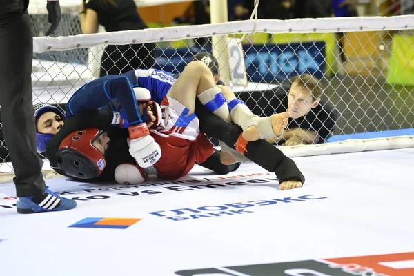 Orenburg Rusia Febrero 2017 Año Los Combatientes Compiten Artes Marciales —  Fotos de Stock