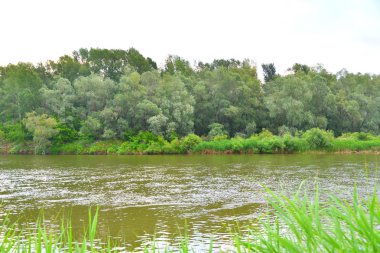 Nehri üzerinde sabah bulutlu hava yaz