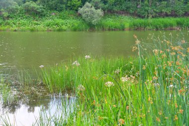 Nehri üzerinde sabah bulutlu hava yaz