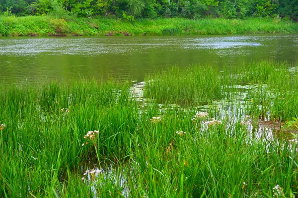Nehri üzerinde sabah bulutlu hava yaz