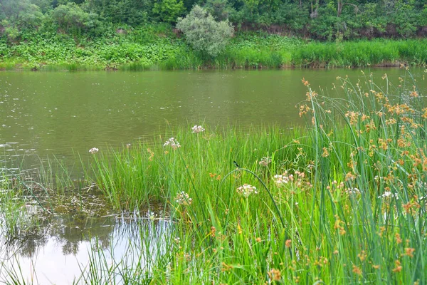 Nehri üzerinde sabah bulutlu hava yaz