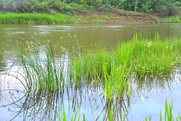 Nehri üzerinde sabah bulutlu hava yaz