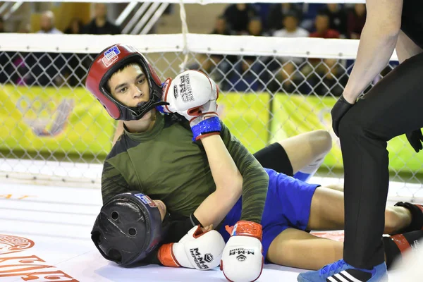 Orenburg Rusia Febrero 2017 Año Los Combatientes Compiten Artes Marciales —  Fotos de Stock