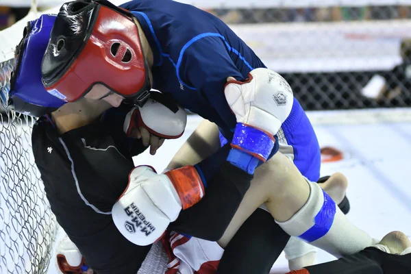 Orenburg Rusia Febrero 2017 Año Los Combatientes Compiten Artes Marciales —  Fotos de Stock