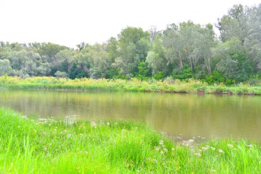 Nehri üzerinde sabah bulutlu hava yaz