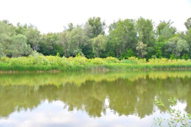 Nehri üzerinde sabah bulutlu hava yaz