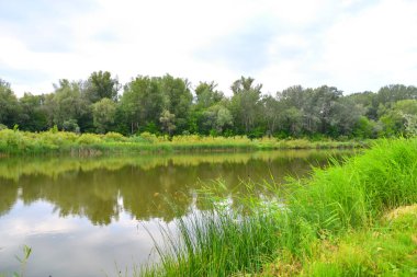 Nehri üzerinde sabah bulutlu hava yaz