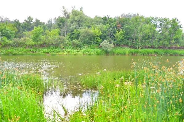 Nehri üzerinde sabah bulutlu hava yaz