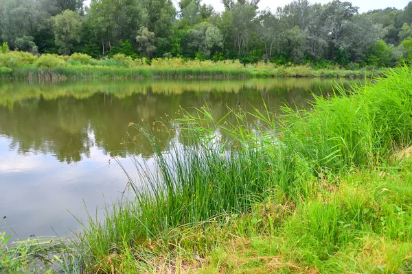 Nehri üzerinde sabah bulutlu hava yaz