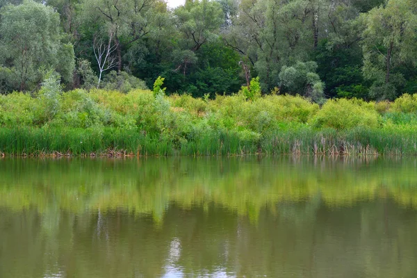 Nehri üzerinde sabah bulutlu hava yaz