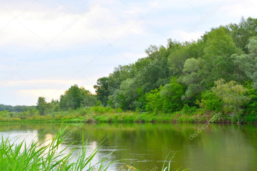 Morning on the River in the summer in cloudy weather