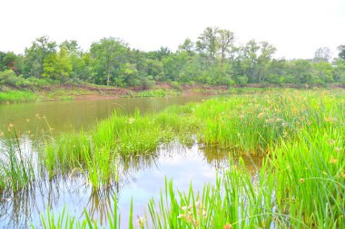 Nehri üzerinde sabah bulutlu hava yaz